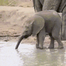 Просто гифки, всякие и&nbsp;разные