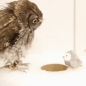 Материнский инстинкт в действии