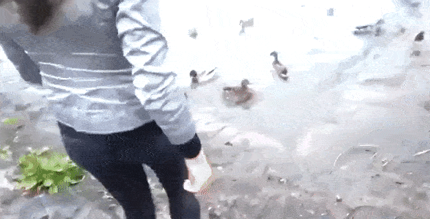 Просто гифки, всякие и&nbsp;разные