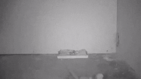 Просто гифки, всякие и&nbsp;разные