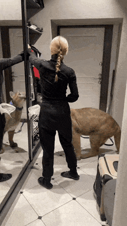 Просто гифки, всякие и&nbsp;разные