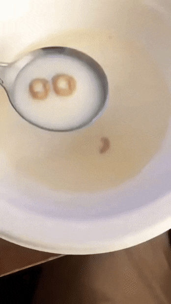 Просто гифки, всякие и&nbsp;разные