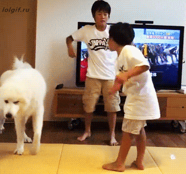 Не бывать драке