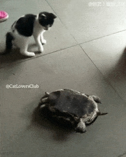 Помог