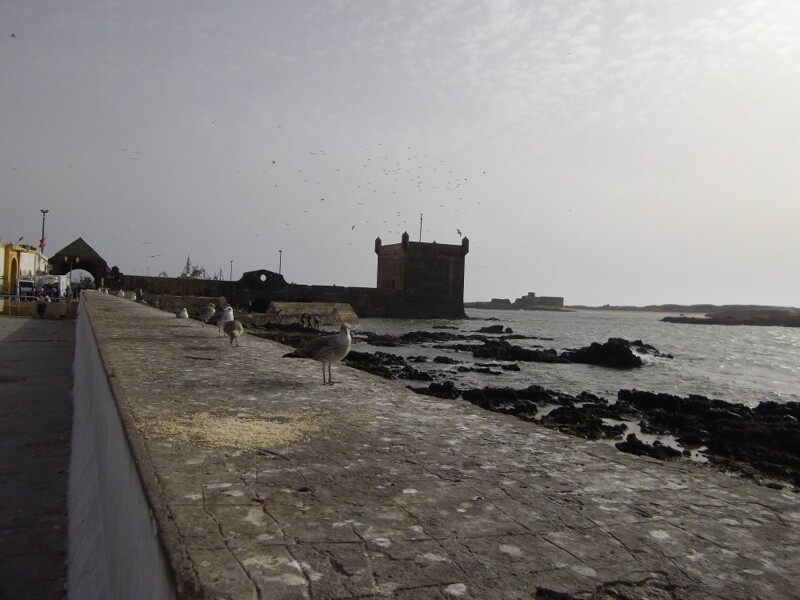 Morocco 2014