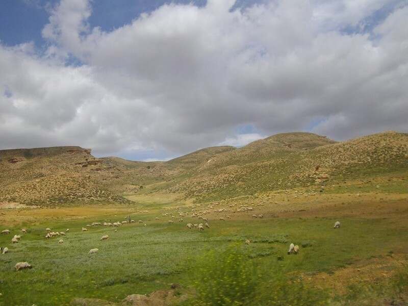 Morocco 2014