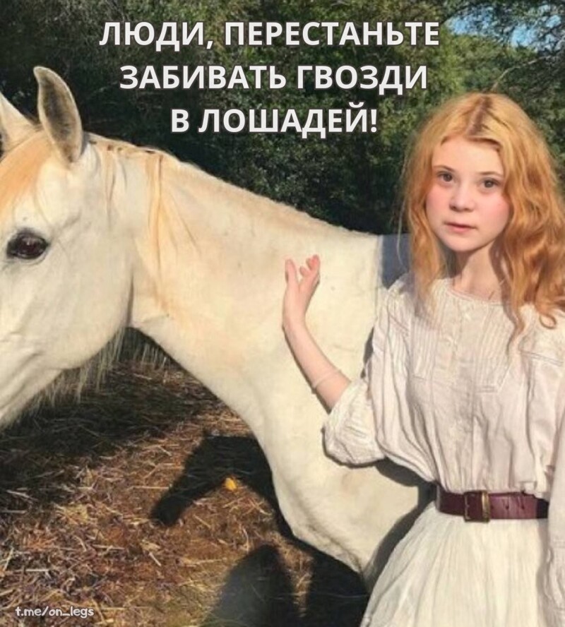 Смешные картинки от ON Legs