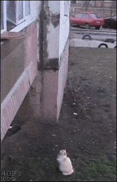 Просто гифки, всякие и&nbsp;разные