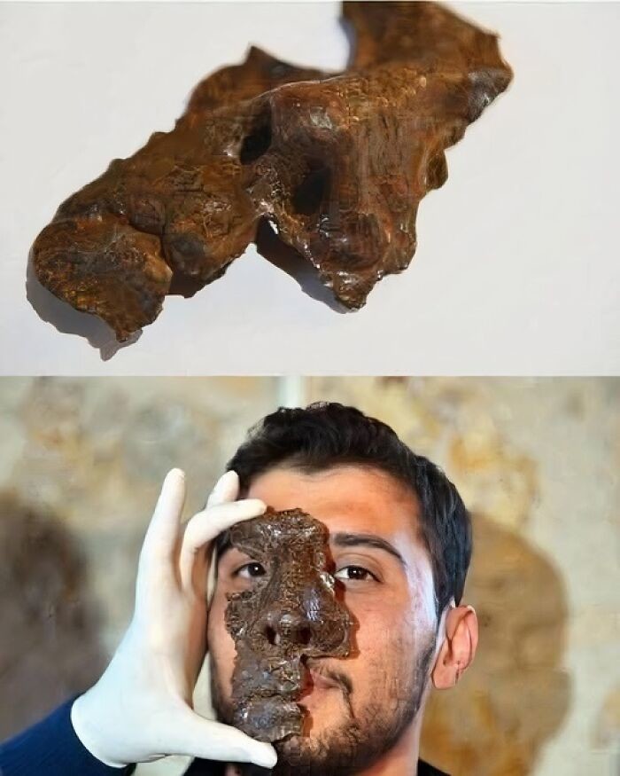 23. В Турции обнаружили железную маску римского солдата, которой 1800 лет