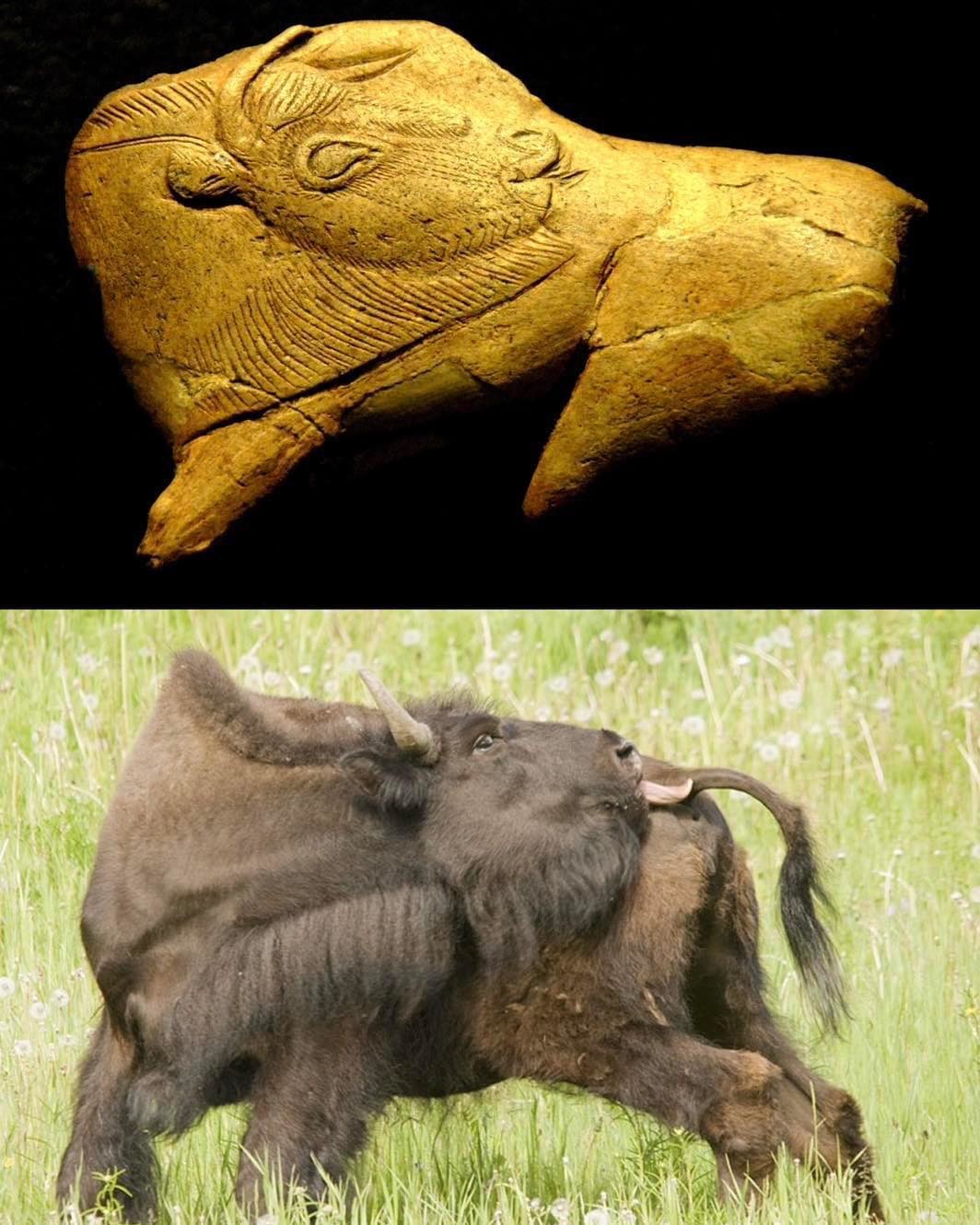 3. «Бизон, вылизывающий укус насекомого». Изделие из оленьего рога было обнаружено во время раскопок во Франции. Возраст находки — 14 000 лет