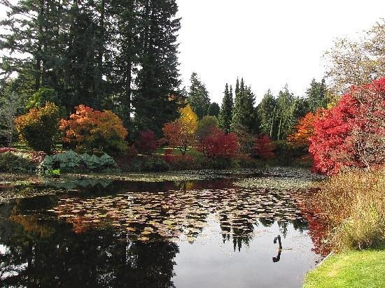 Лабиринт в саду Ван Дусена: путешествие сквозь время и зелень