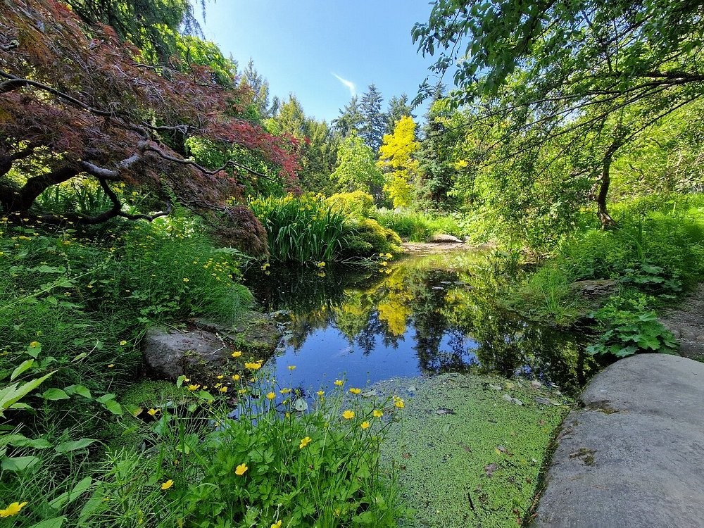 Лабиринт в саду Ван Дусена: путешествие сквозь время и зелень