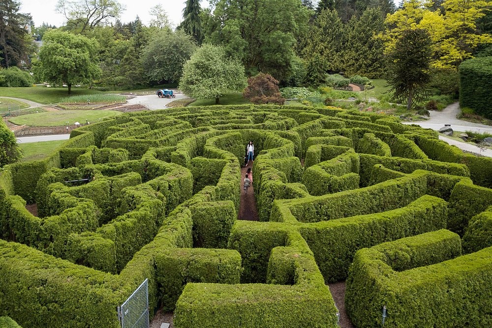 Лабиринт в саду Ван Дусена: путешествие сквозь время и зелень