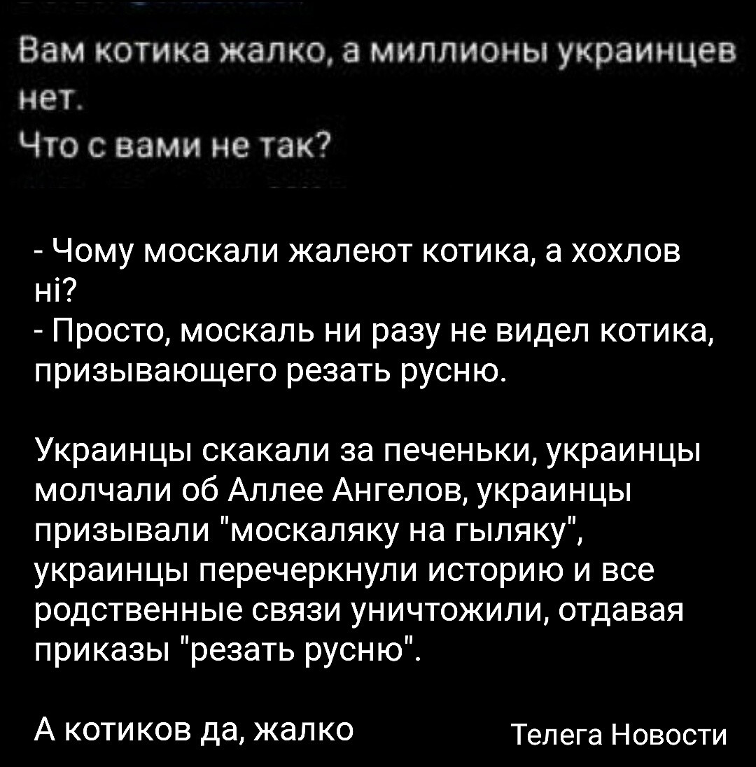 О политике и не только