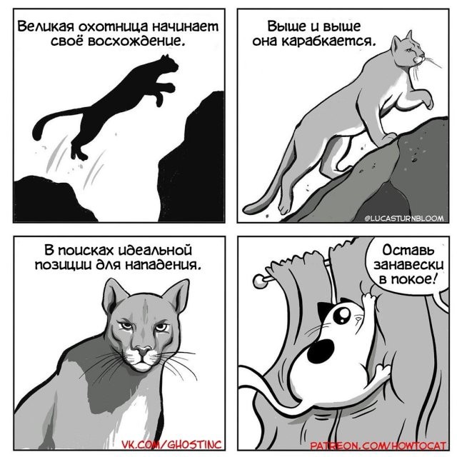 Не ищите здесь смысл. Здесь в основном маразм