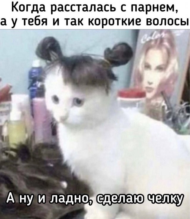 Скрины из соцсетей            