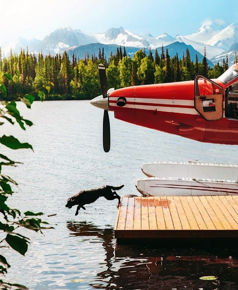 Всё вразнобой 