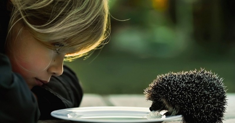 Всё вразнобой 