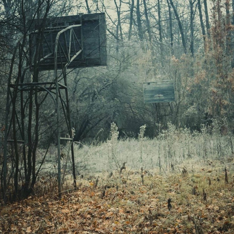 Всё вразнобой 