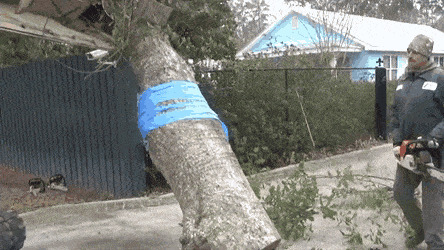 Увы