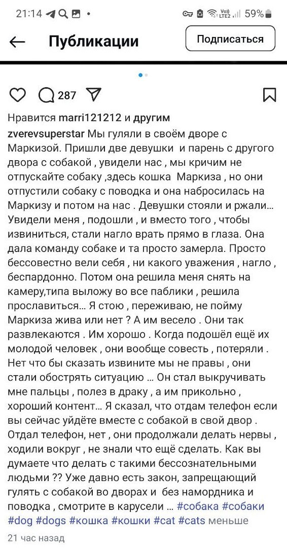 "Решила меня снять на камеру, захотела прославиться!": Сергей Зверев устроил скандал из-за собаки, напавшей на его кошку
