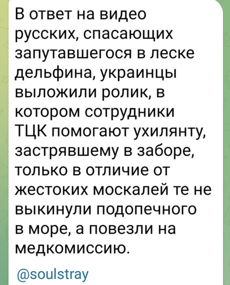 О политике и не только