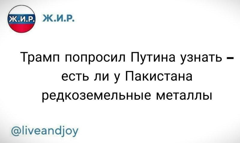О политике и не только
