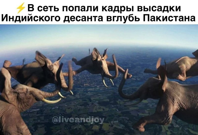 О политике и не только
