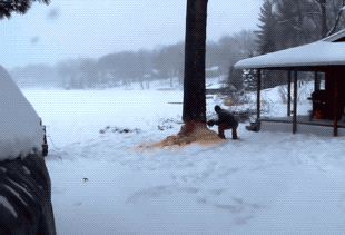 Просто гифки, всякие и&nbsp;разные