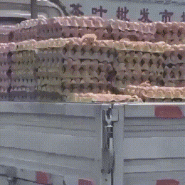 Просто гифки, всякие и&nbsp;разные