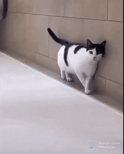 Просто гифки, всякие и&nbsp;разные