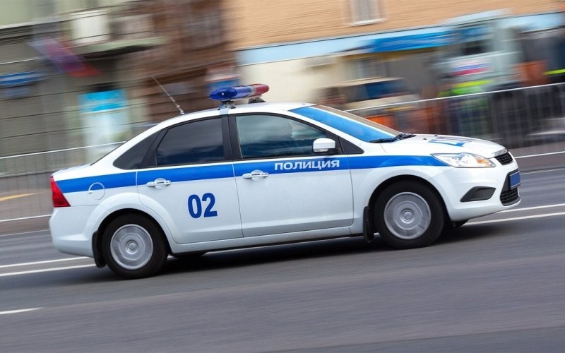 В Каменске-Уральском женщина натравила бойцовых псов на мужчину и поплатилась