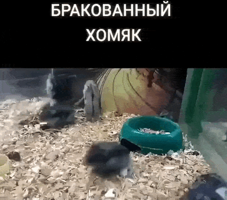 Просто гифки, всякие и разные Просто гифки, всякие и разные