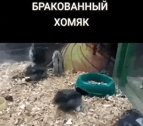 Просто гифки, всякие и&nbsp;разные