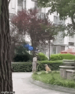 Когда она обиделась