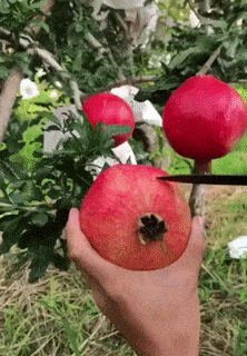 Просто гифки, всякие и&nbsp;разные