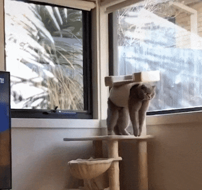 Просто гифки, всякие и&nbsp;разные