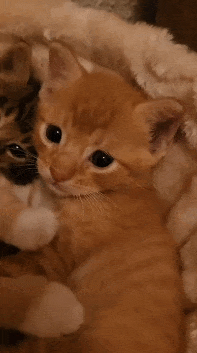 Просто гифки, всякие и&nbsp;разные