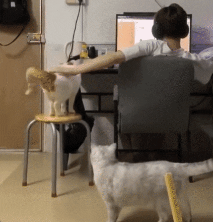 Просто гифки, всякие и&nbsp;разные