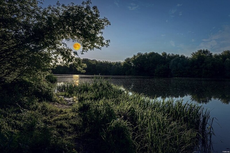 Фотовинегрет-11