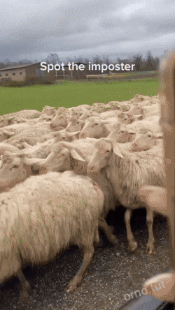 Просто гифки, всякие и&nbsp;разные