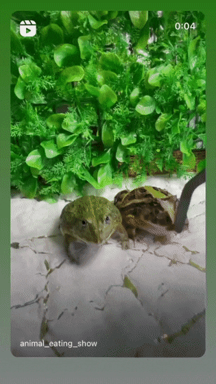 Просто гифки, всякие и&nbsp;разные