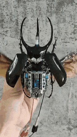 Просто гифки, всякие и&nbsp;разные