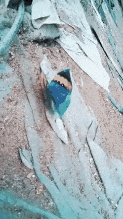 Просто гифки, всякие и&nbsp;разные