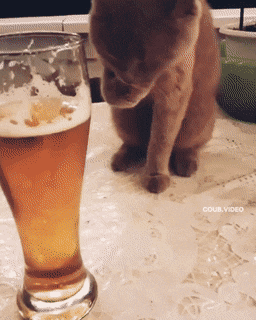 Просто гифки, всякие и&nbsp;разные