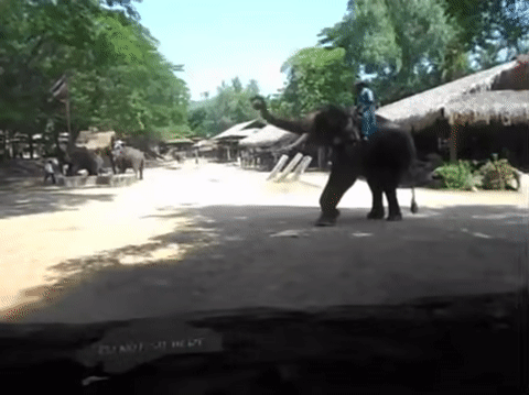 Просто гифки, всякие и&nbsp;разные