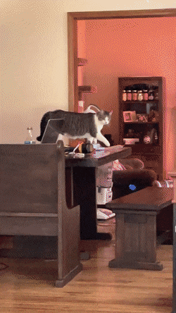 Просто гифки, всякие и&nbsp;разные