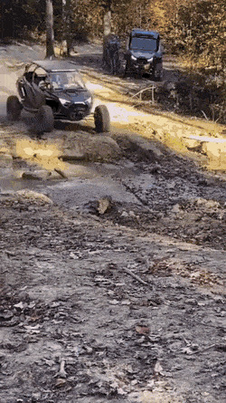 Доездились