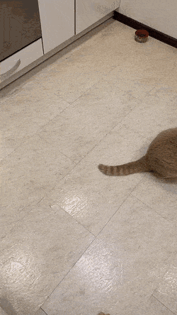 Просто гифки, всякие и&nbsp;разные