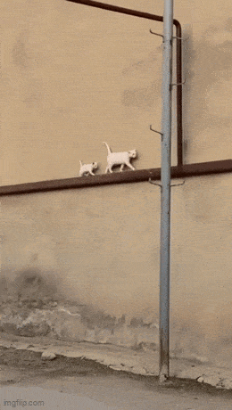 Просто гифки, всякие и&nbsp;разные